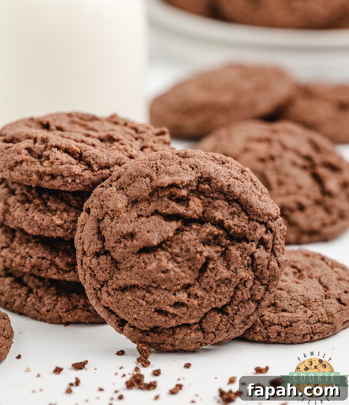 Chocolate Graham Cracker Cookies