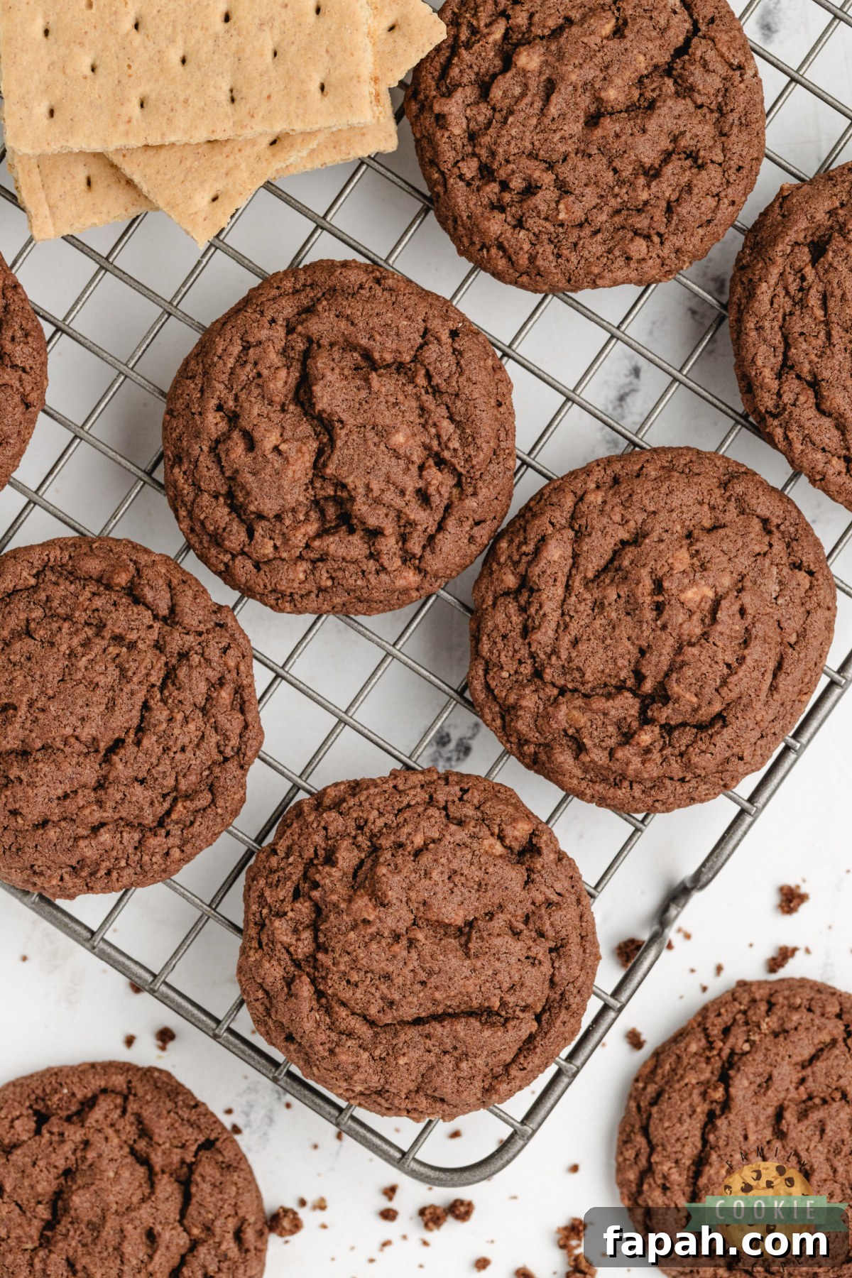 Graham cracker crumbs and cocoa ingredients