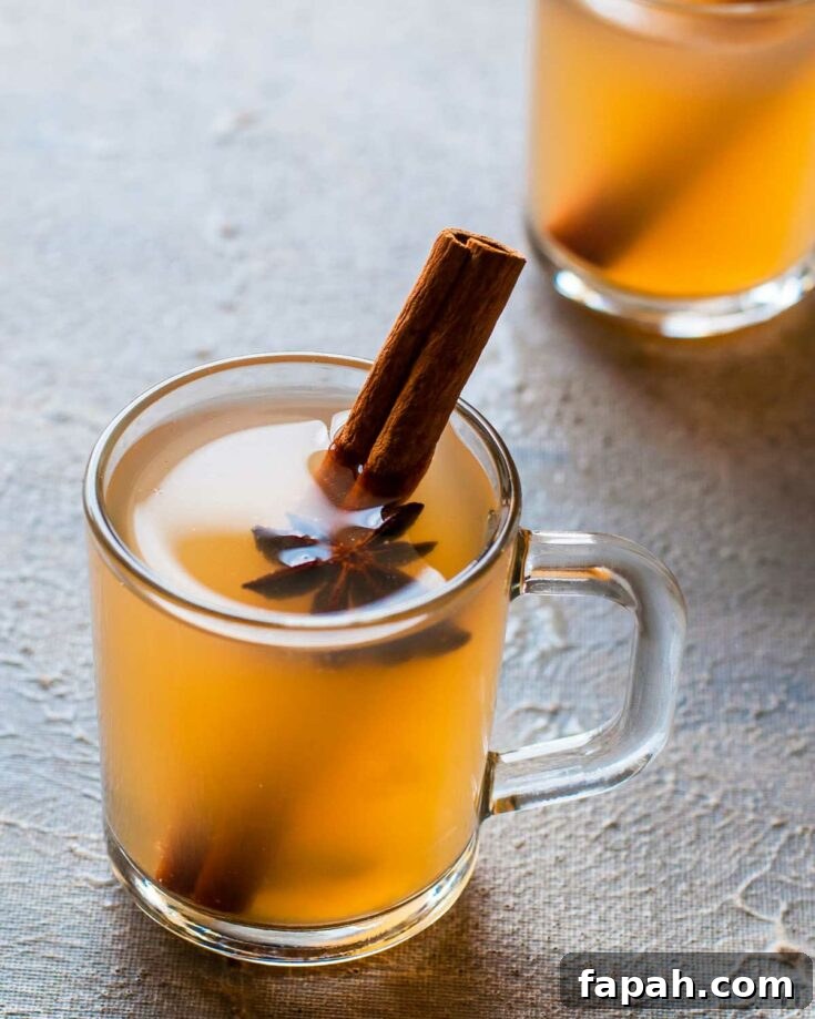 Clear glass mug of non-alcoholic cider with cinnamon stick and star anise