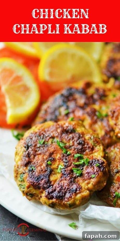Peshawari Kabab garnished with chopped cilantro