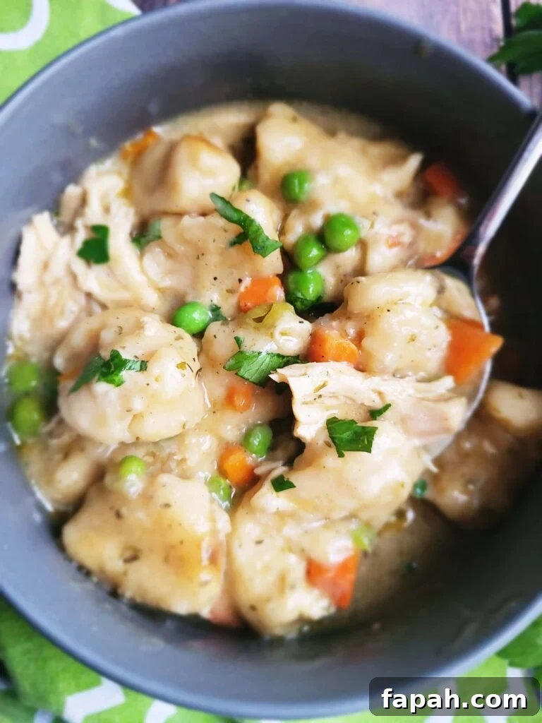 Bowl of chicken and dumplings