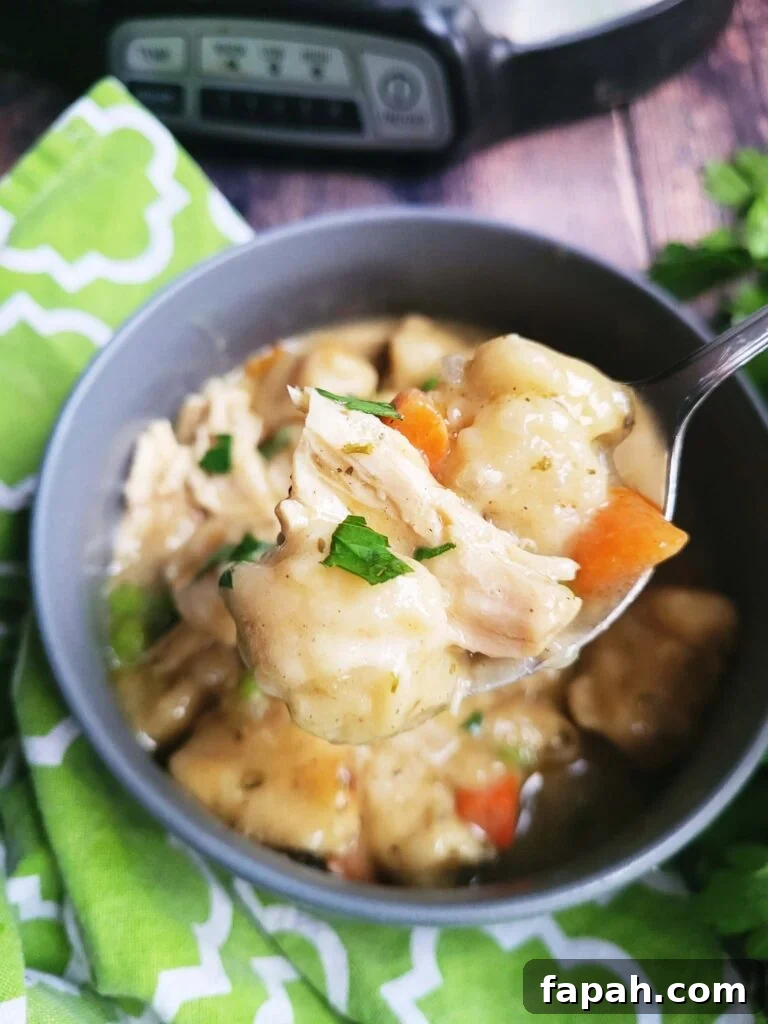 Slow cooker chicken and dumplings